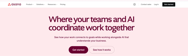 asana brand identity